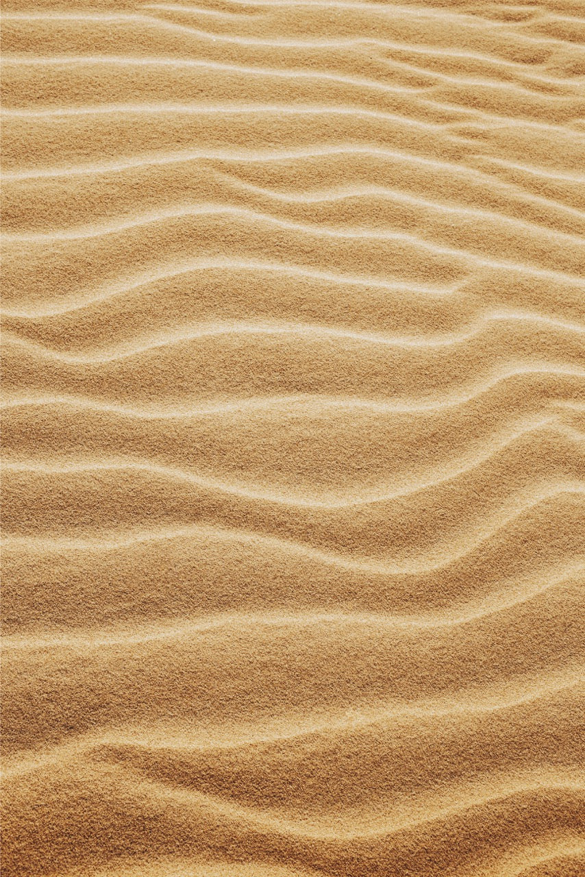 TERRA-100_Large_b37fe061-9810-4444-96ec-c10dfec788f3.jpg