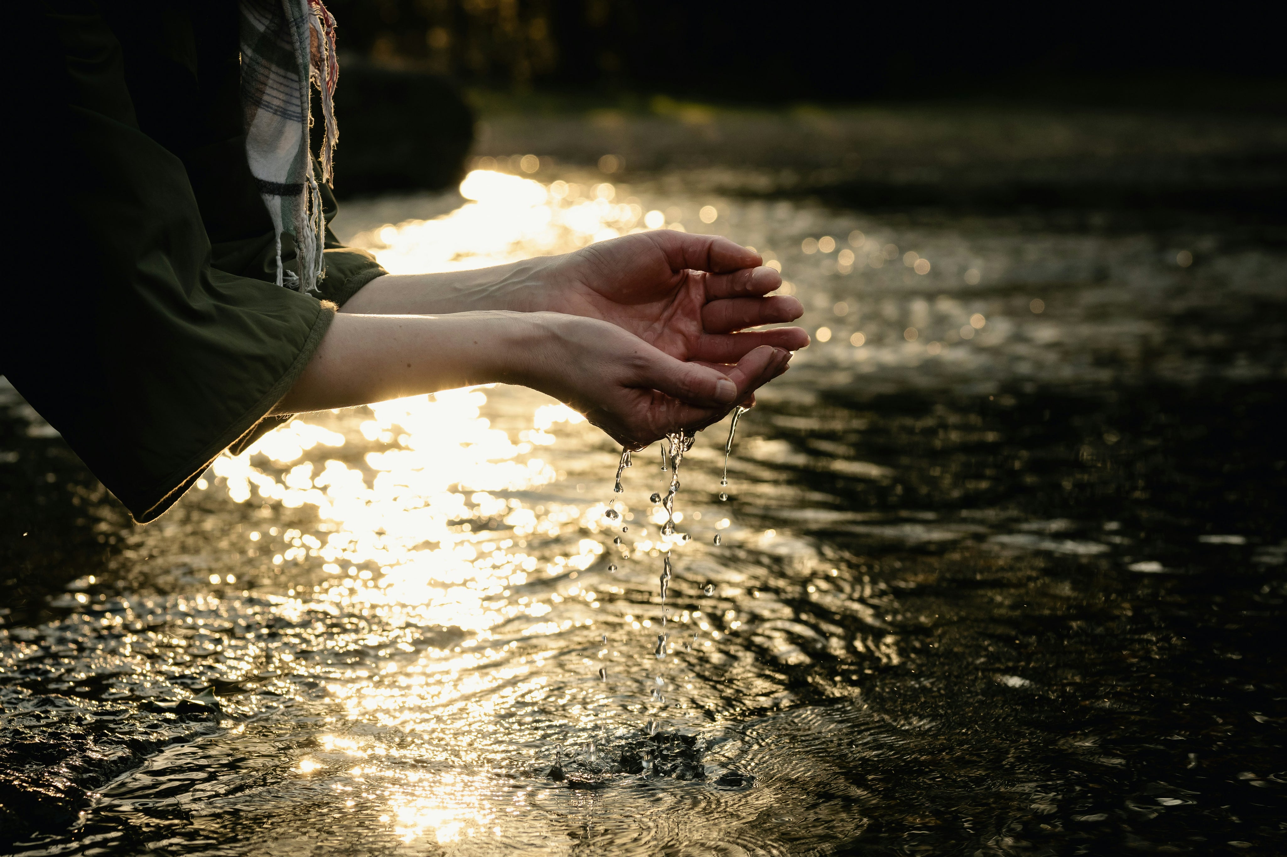 monika-grabkowska-U91n8uKYh9M-unsplash_2dfa8c62-d1aa-4d4e-a734-50de82b658df.jpg