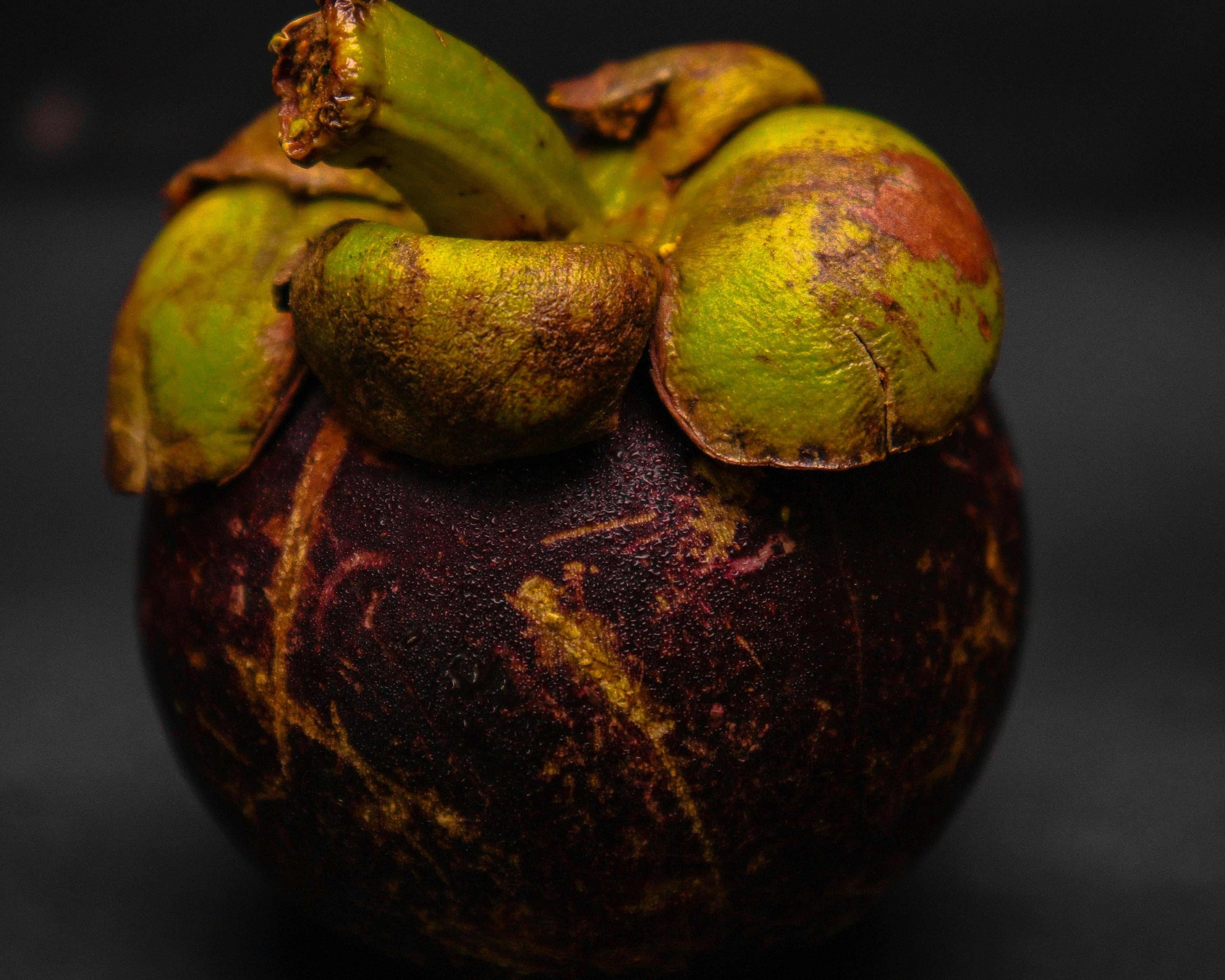 Kokum Butter: Barrier Repair + Elasticity Support in Skincare