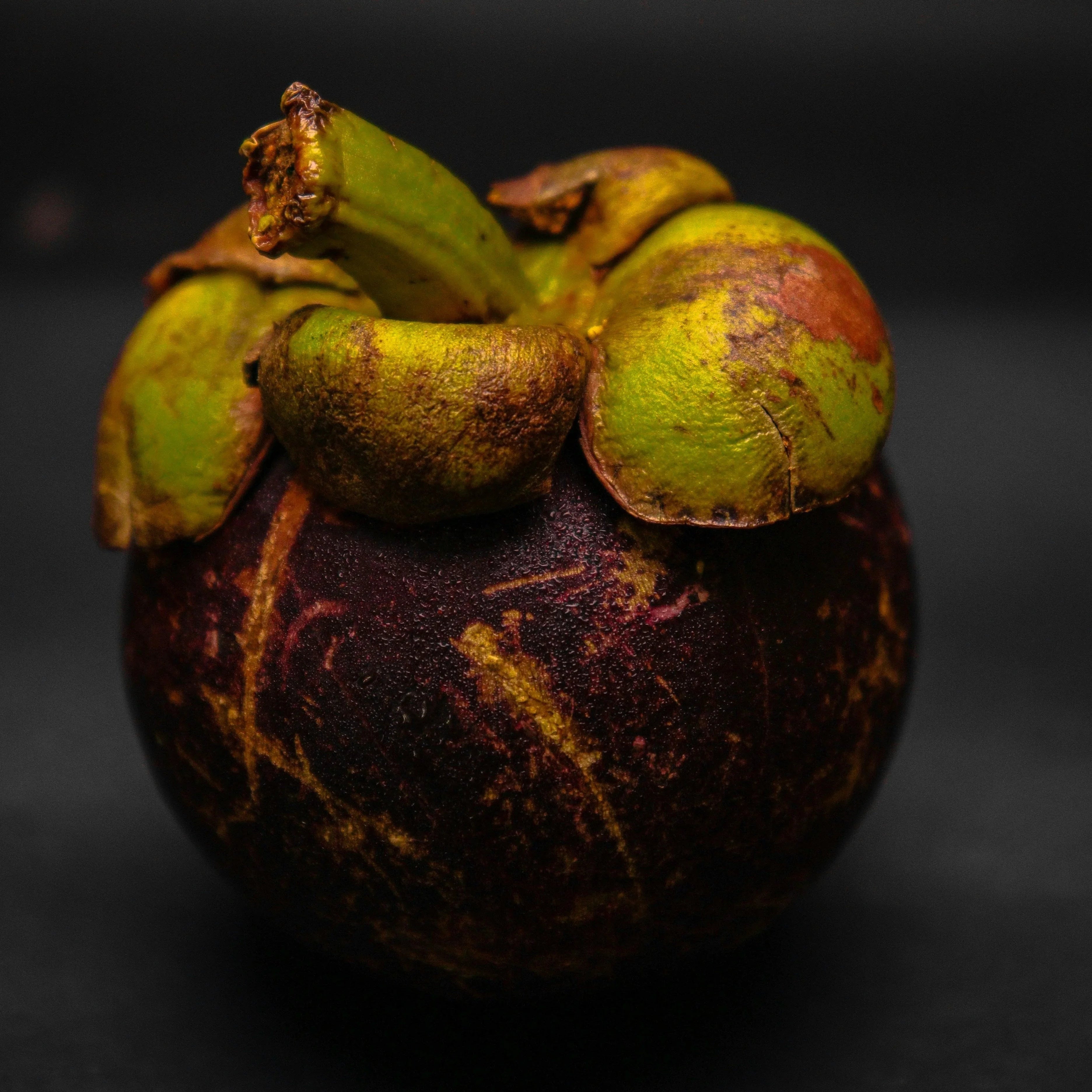 Kokum Butter: Barrier Repair + Elasticity Support in Skincare