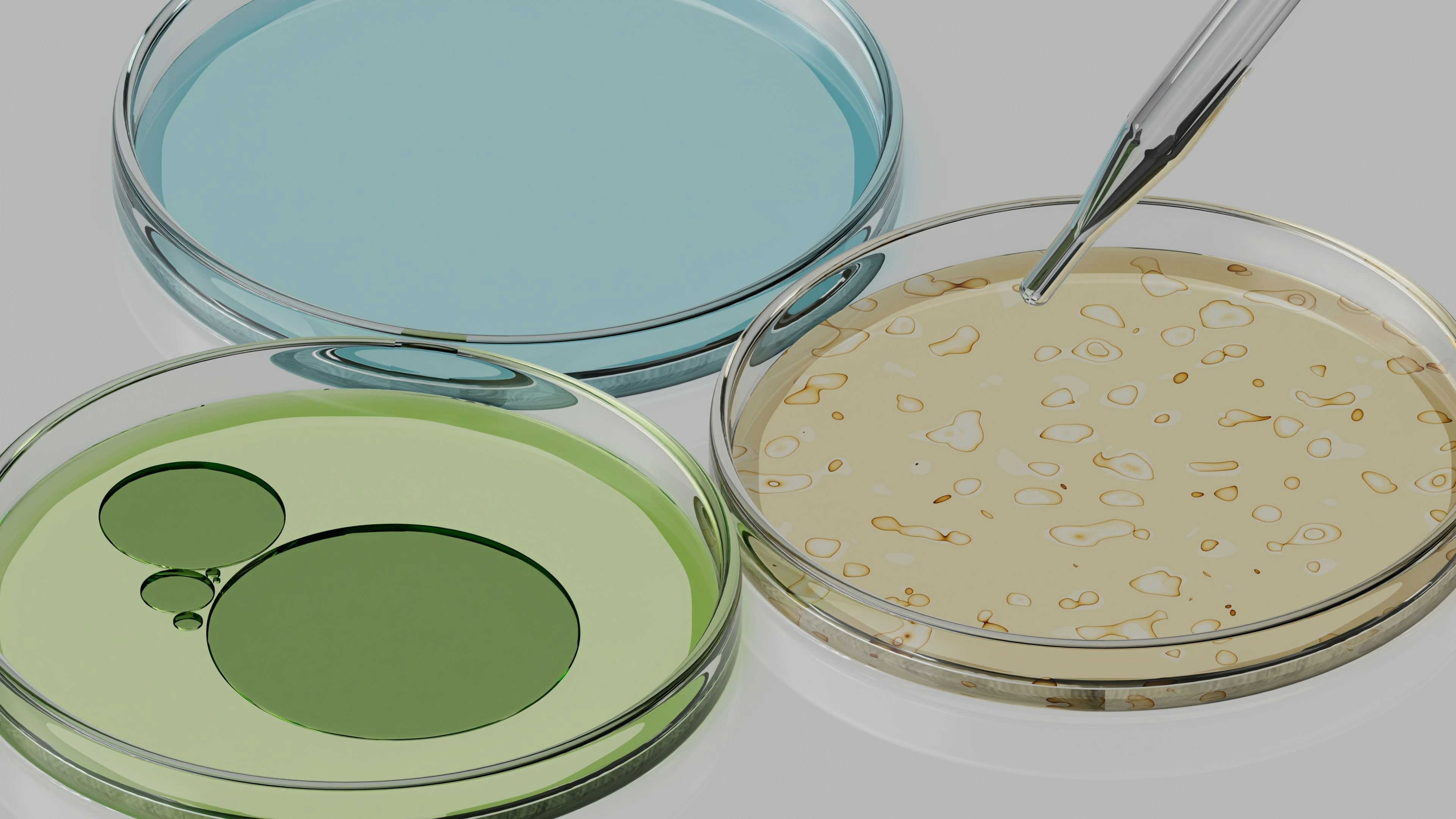 Natural Moisturising Factor (NMF) - The Skin beneath