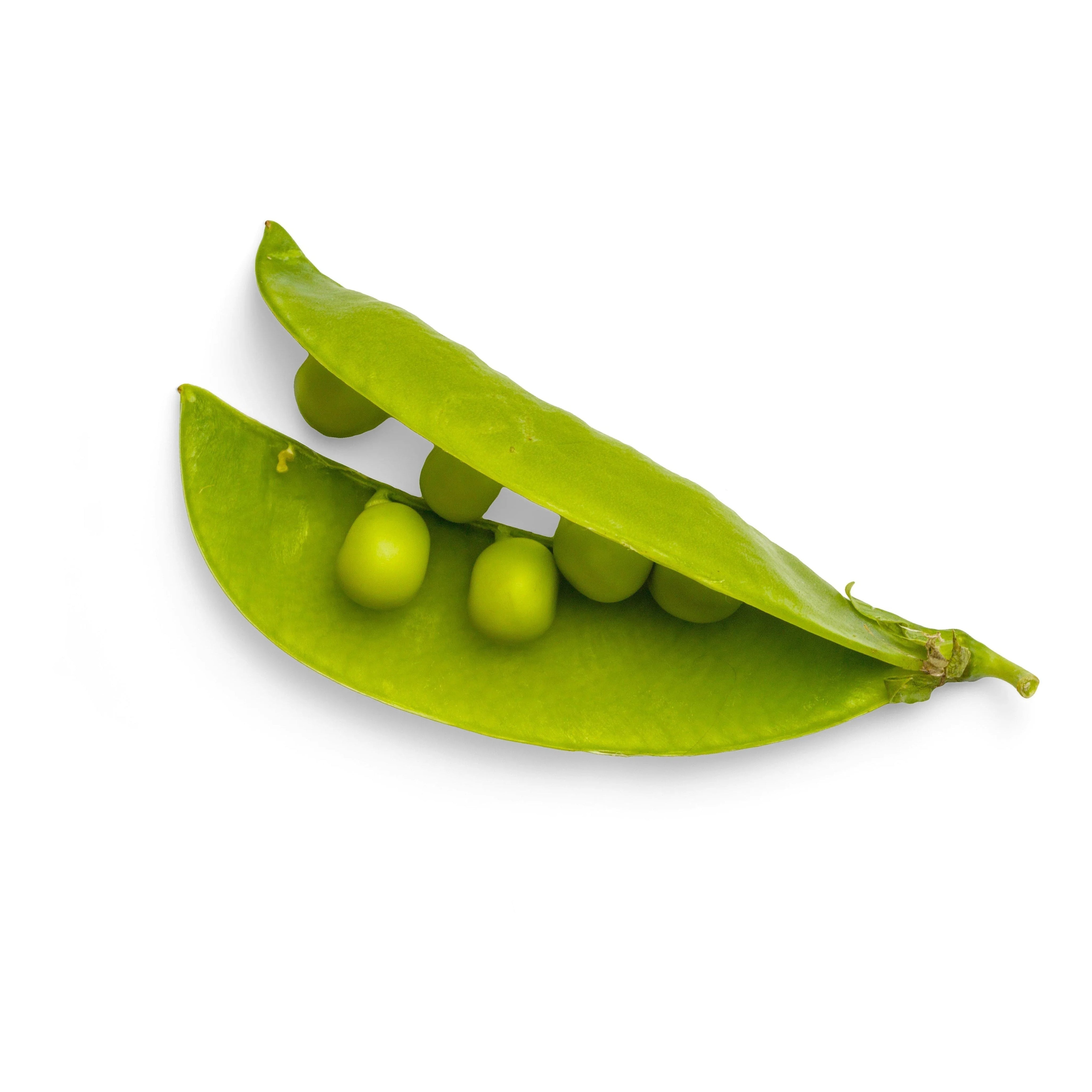 Pisum Sativum (Pea) Extract in Skincare: Protein-Powered Resilience for Compromised Skin - The Skinbeneath