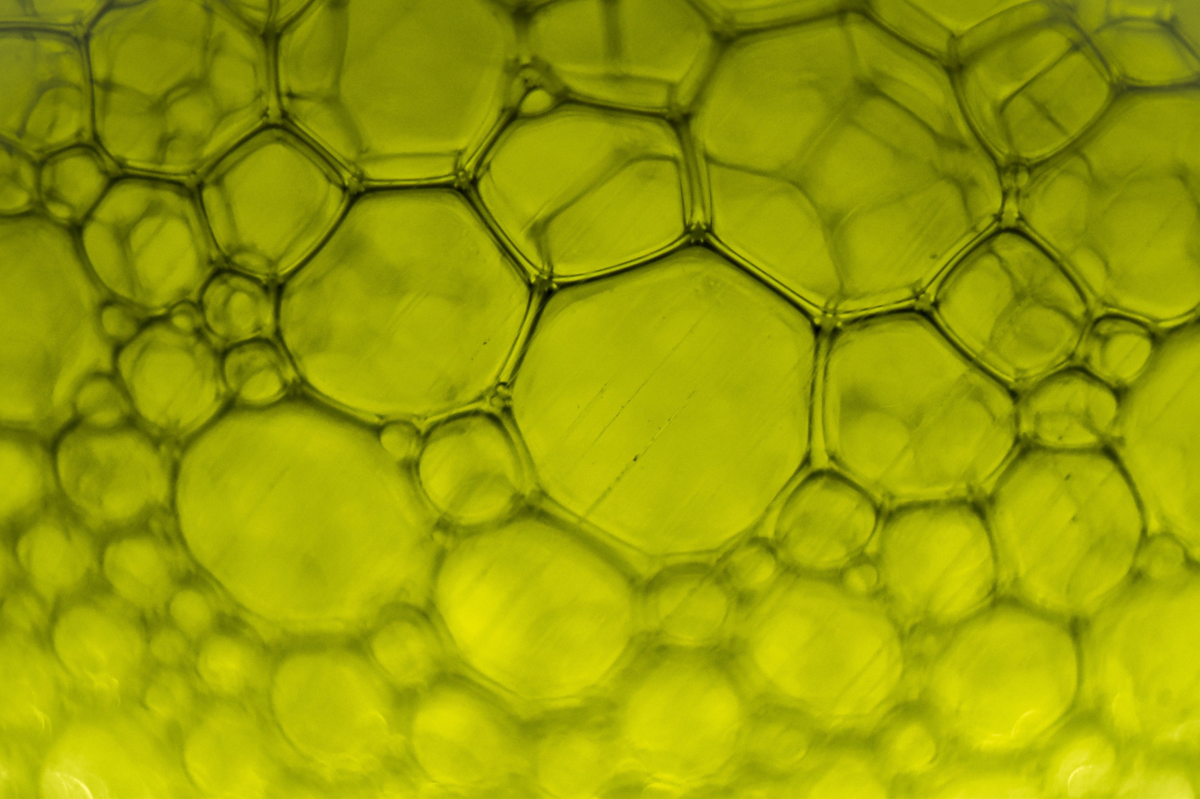 The Skin Barrier Lipid Matrix — What It Is, What It Does, and Why Structure Is the Point - The Skinbeneath