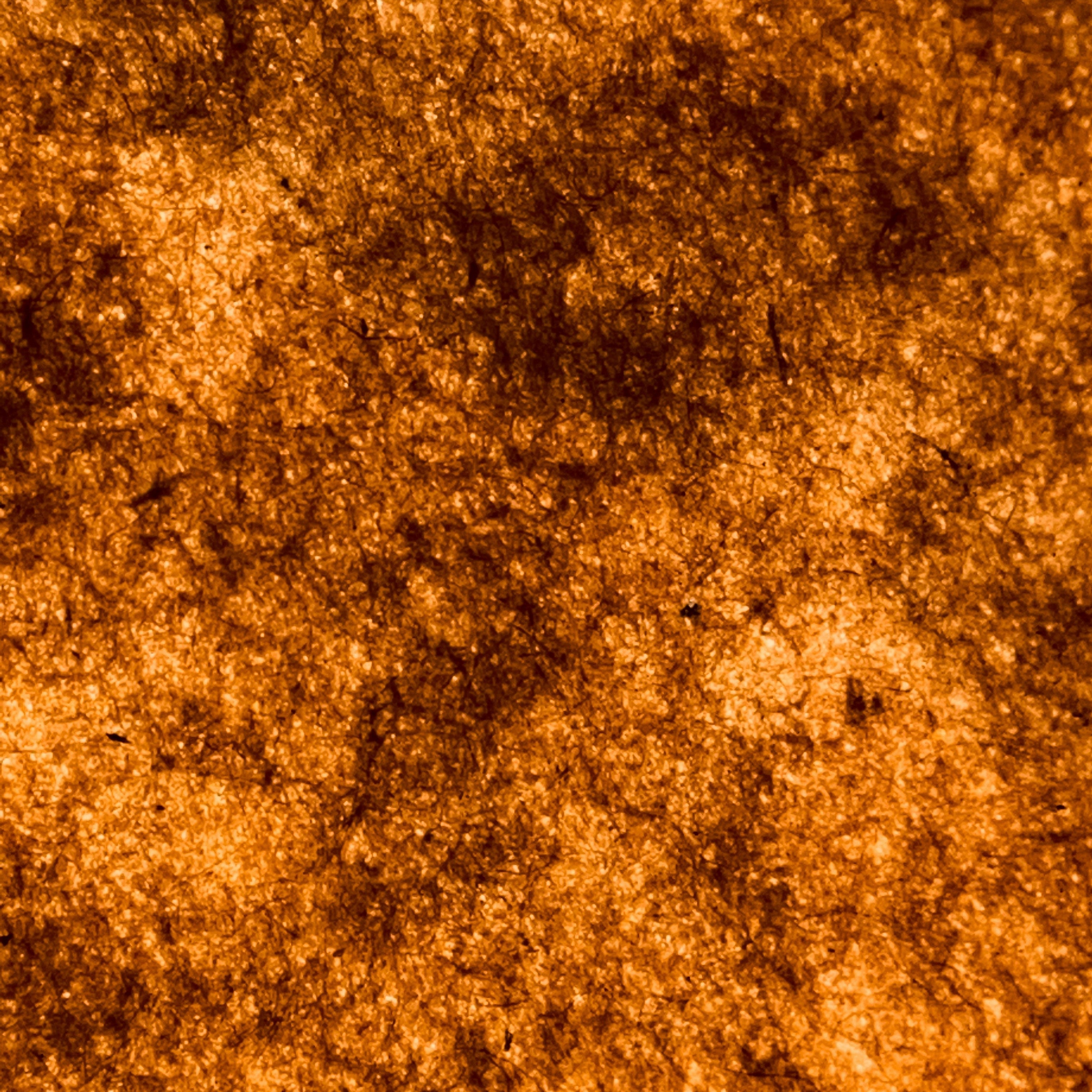 What Actually Damages Your Skin Barrier - The Skinbeneath