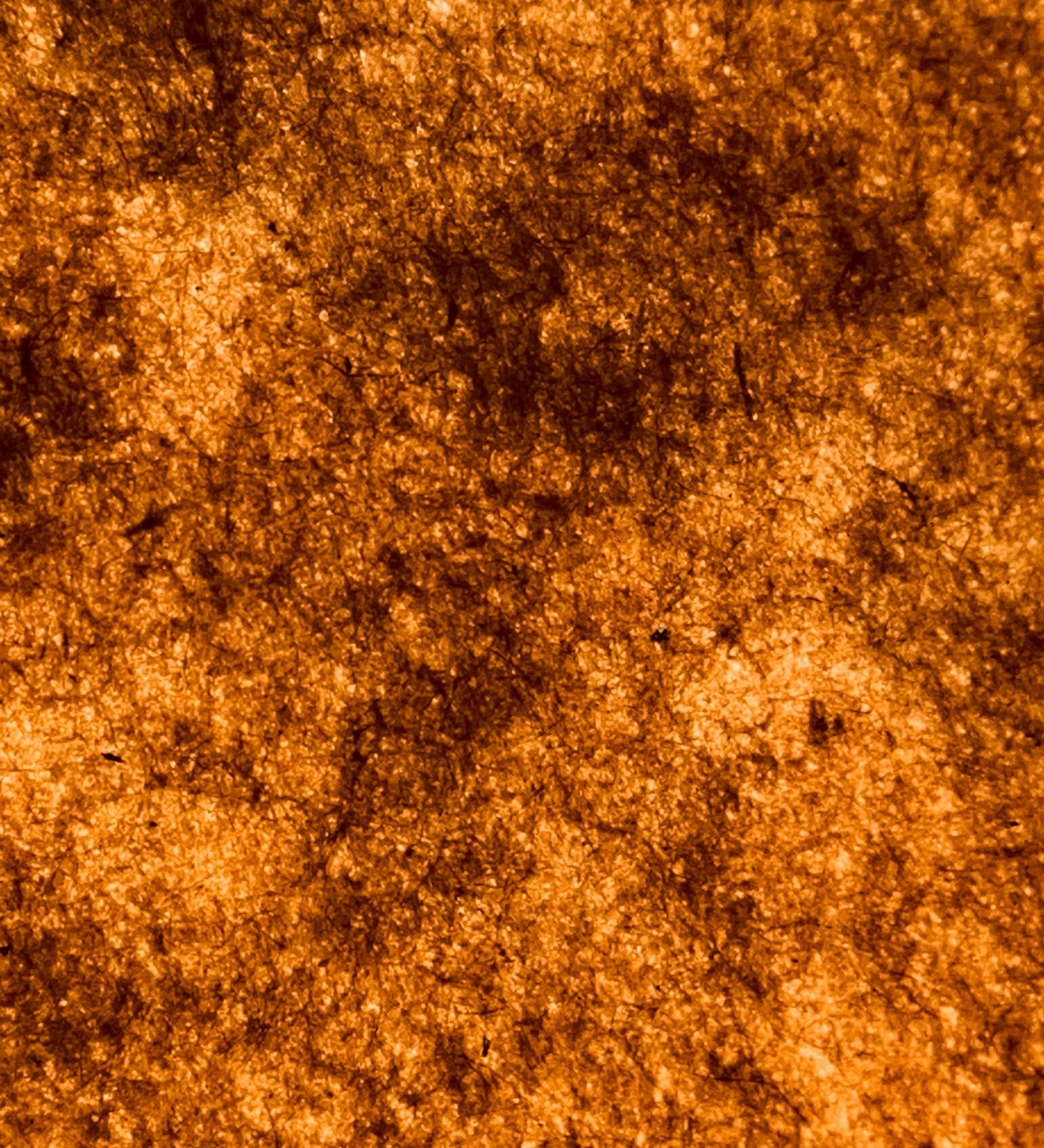 What Actually Damages Your Skin Barrier - The Skinbeneath