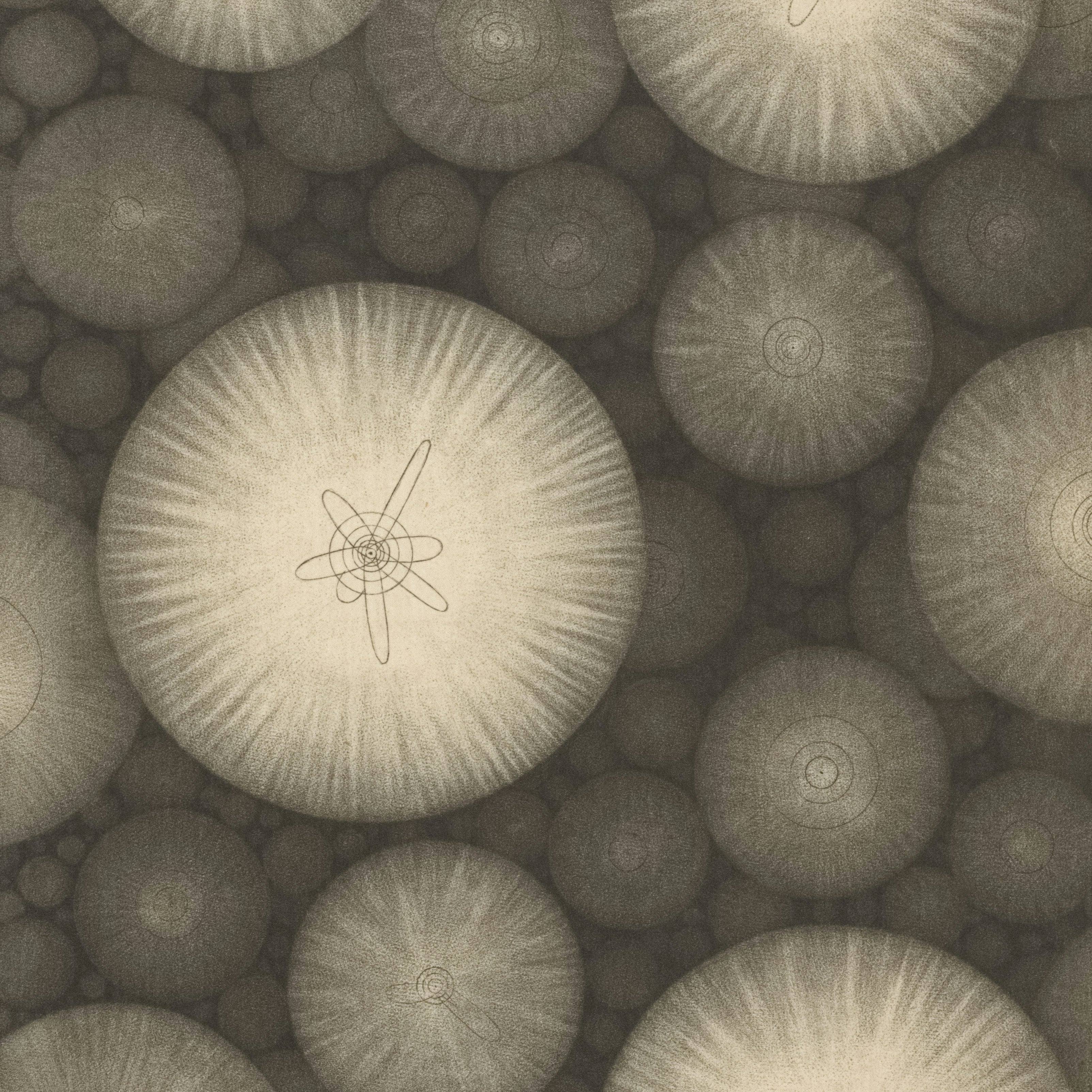 Why Pigmentation Keeps Coming Back: The Inflammation Cycle in Indian Skin - The Skin Beneath